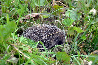 Similar image 22281749