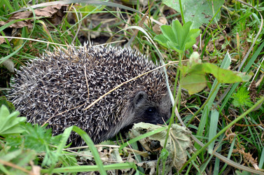 Similar image 22281750