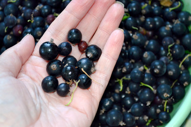 Similar image 22281754