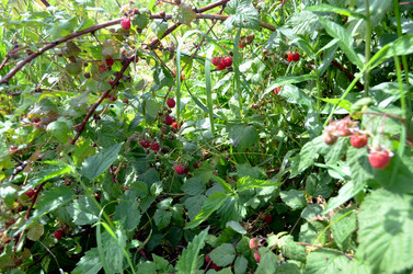 Similar image 22281755