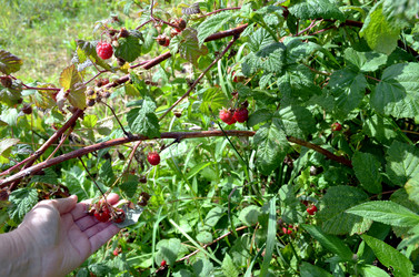 Similar image 22281756