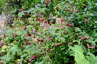 Similar image 22281757