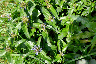 Similar image 22281758