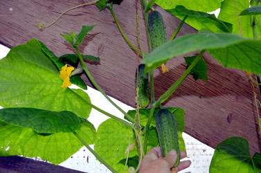 Similar image 22281759