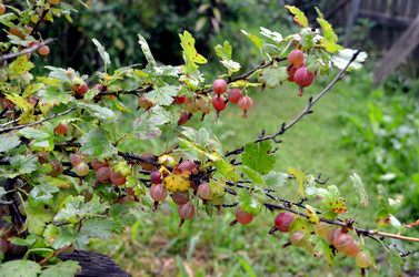 Similar image 22281760