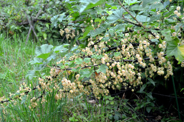 Similar image 22281761