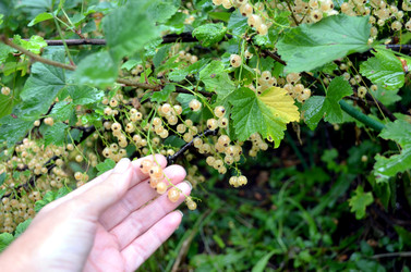 Similar image 22281762