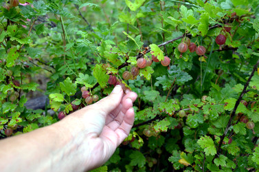 Similar image 22281763