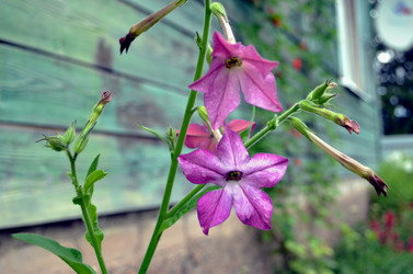 Similar image 22281765