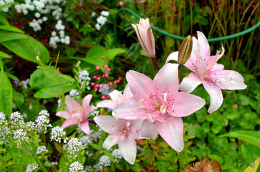 Similar image 22281766