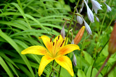 Similar image 22281768