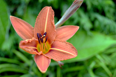 Similar image 22281769