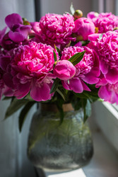 Similar image 22283890