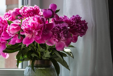 Similar image 22283891