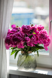 Similar image 22283893