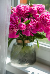 Similar image 22283894