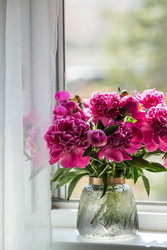 Similar image 22283896