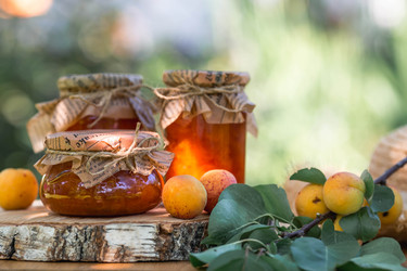 Similar image 22283920