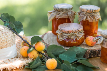 Similar image 22283922