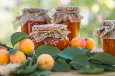 Similar image 22283924