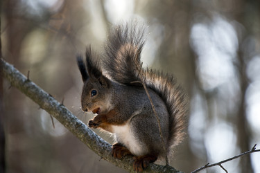 Similar image 22282222