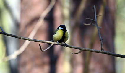 Similar image 22282228