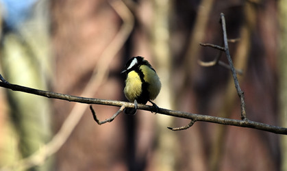 Similar image 22282230