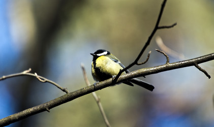 Similar image 22282231