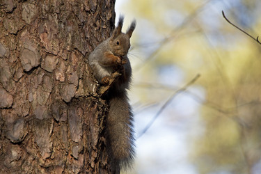 Similar image 22282235