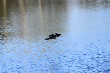 Similar image 22282251