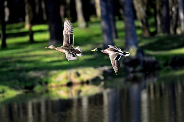 Similar image 22282252