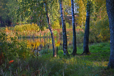 Similar image 22282253