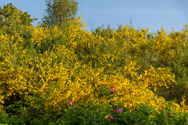 Similar image 22281995