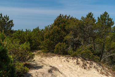 Similar image 22283184