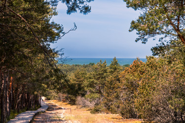 Similar image 22283185