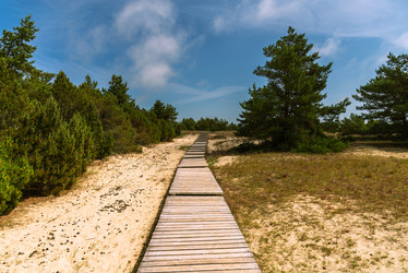 Similar image 22283186