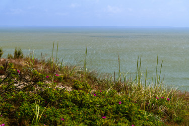 Similar image 22283187