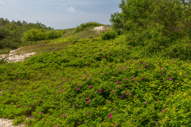 Similar image 22283192