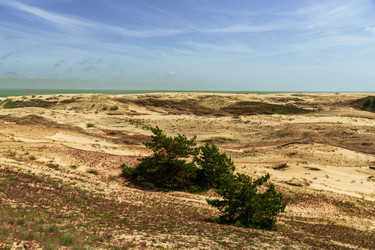 Similar image 22283193