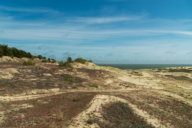 Similar image 22283195