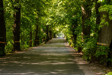 Similar image 22283204