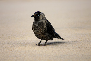 Similar image 22283216