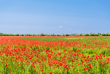 Similar image 22282005