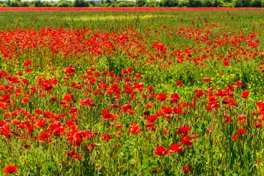 Similar image 22282006