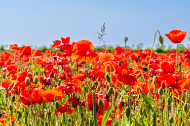 Similar image 22282007