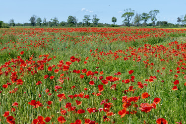 Similar image 22282008