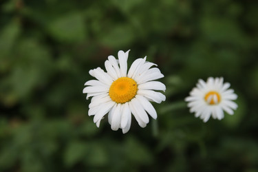 Similar image 22284061