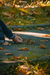 Similar image 22283326