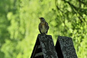 Similar image 22282257