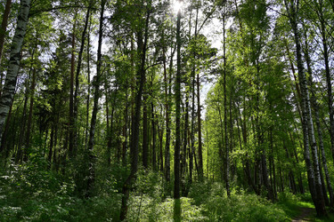 Similar image 22282259